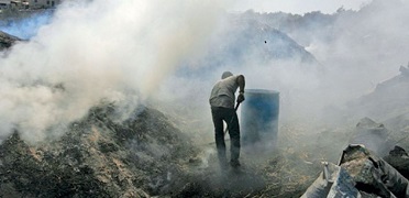 Carcinogenic emission from Palestinian charcoal production 